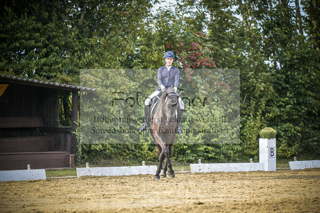 DOS_0623 | Entdecke hochwertige Reitturnierfotos von Foto Oger. Professionell, emotional und authentisch – jetzt Lieblingsmomente im Shop bestellen.Deutschlandweite Turnierfotografie. - Realisiert mit Pictrs.com