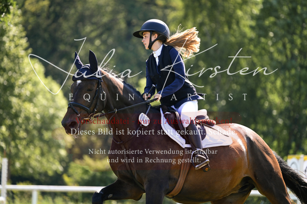 DSC_8773 | Pferde- und Turnierfotografie in Westsachsen. Pferdeportraits, Auftragszeichnungen und intuitive Kunst.