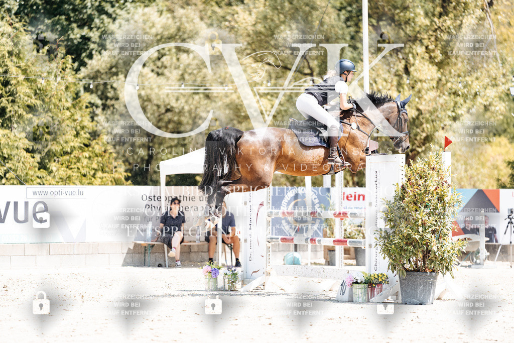 CK900394 | Turnierfotografie Pferdefotografie Trier Rheinland-Pfalz Pferdesport Reitsport Tierfotografie Sportfotografie Pferdevideo Pferdevideografie Equestrianvideography equestrianphotography  - Realisiert mit Pictrs.com