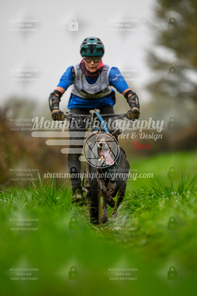 MompixPhotography_20TSB_E8_Bike-67 | PayLife