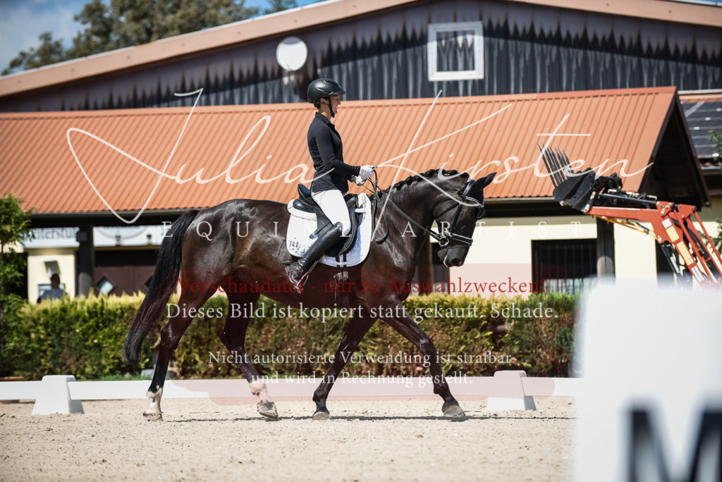 DSC_9057 | Pferde- und Turnierfotografie in Westsachsen. Pferdeportraits, Auftragszeichnungen und intuitive Kunst.