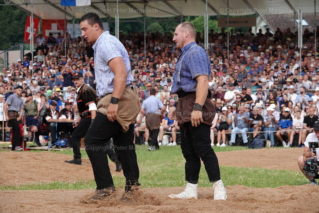 DSC01195 | Schwingen - Realisiert mit Pictrs.com