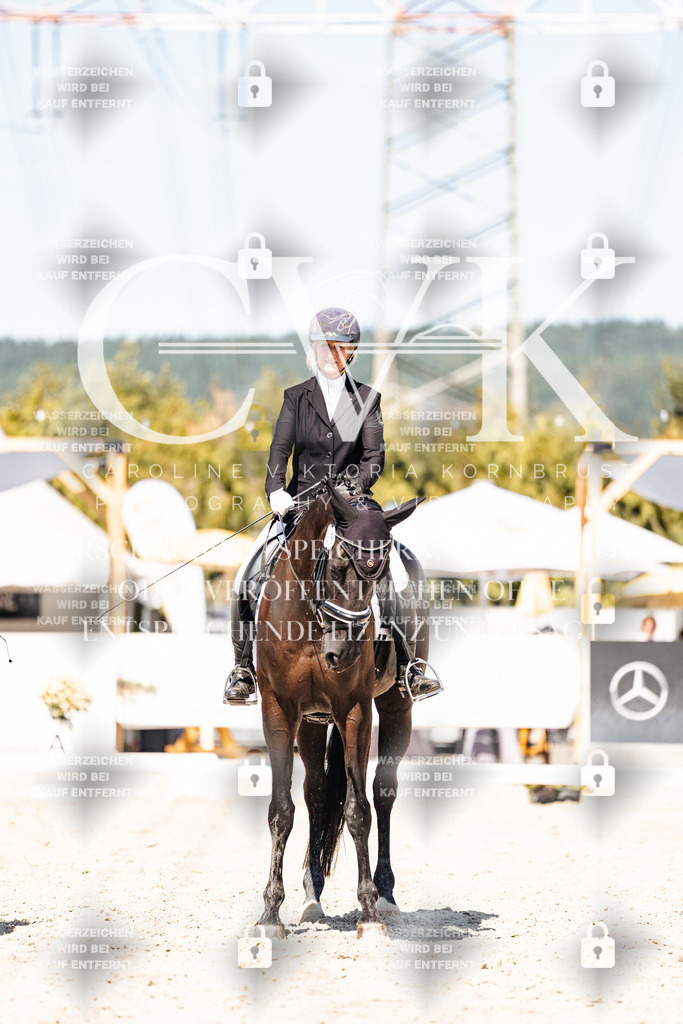 CK900112 | Turnierfotografie Pferdefotografie Trier Rheinland-Pfalz Pferdesport Reitsport Tierfotografie Sportfotografie Pferdevideo Pferdevideografie Equestrianvideography equestrianphotography  - Realisiert mit Pictrs.com