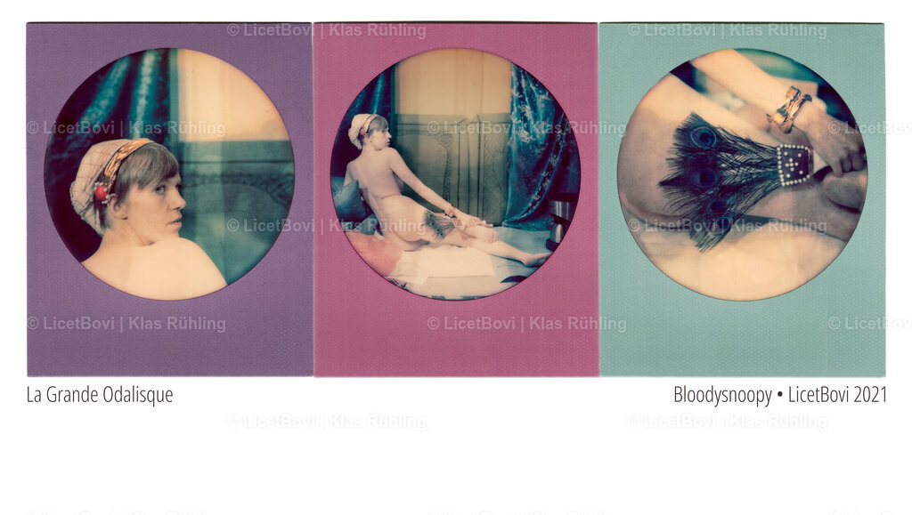 Grande Odalisque | Edited digital photograph, 2021From the series ‘Museum pieces’, retelling of Ingre's paintingWith BloodysnoopyRecommended format and material: 13x23, gloss - Realisiert mit Pictrs.com