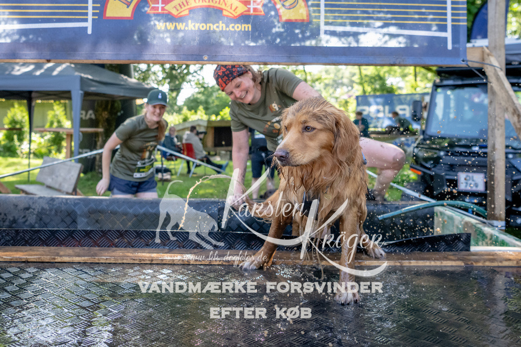 1539_ZZ92516 | kk-dogfotos