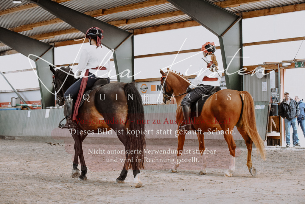 DSC_7142 | Pferde- und Turnierfotografie in Westsachsen. Pferdeportraits, Auftragszeichnungen und intuitive Kunst.