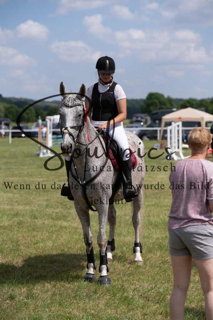 A7V00316 | Pferdefotograf