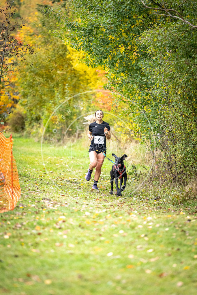 Pfotenfotografie_DV3A1711 | Hundefotografie, Tierfotograf, Pfotenfotografie, Fotoshooting Hund, Hunde Portrait, Hundesport, Hundeportraits, Heideshooting, Hunde, Sportfotograf, Hundefotograf, Turnierhundsport, THS,  - Realisiert mit Pictrs.com