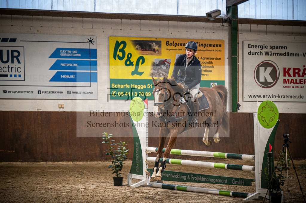 Hallenreittunier Voxtrup 2023 | Entdecke hochwertige Reitturnierfotos von Foto Oger. Professionell, emotional und authentisch – jetzt Lieblingsmomente im Shop bestellen.Deutschlandweite Turnierfotografie. - Realisiert mit Pictrs.com