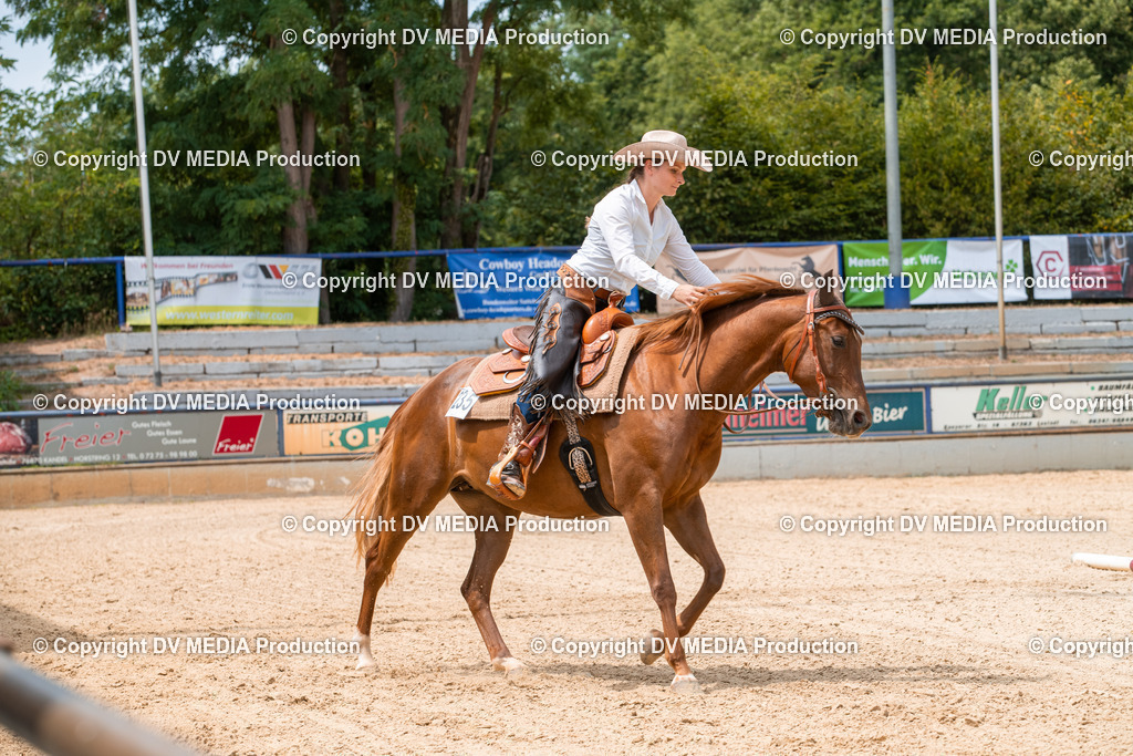 EWP_6271 | dv-media-shop - Realisiert mit Pictrs.com