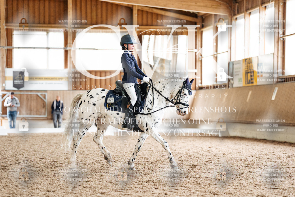 CK901397 | Turnierfotografie Pferdefotografie Trier Rheinland-Pfalz Pferdesport Reitsport Tierfotografie Sportfotografie Pferdevideo Pferdevideografie Equestrianvideography equestrianphotography  - Realisiert mit Pictrs.com