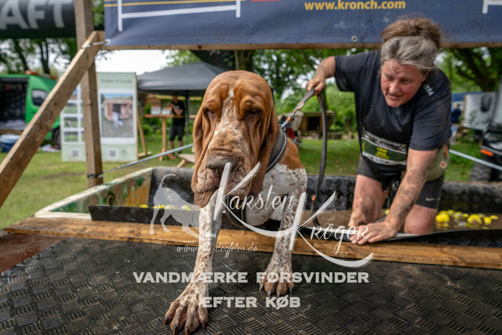 1123_ZZ94037 | kk-dogfotos
