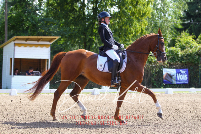 DKP42804 | Turniersportfotografie; Pferdefotografie; Dressurfotografie