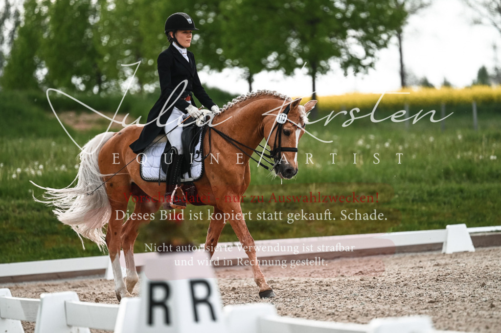 20230514_JK-Röhrsdorf-21-385 | Pferde- und Turnierfotografie in Westsachsen. Pferdeportraits, Auftragszeichnungen und intuitive Kunst.