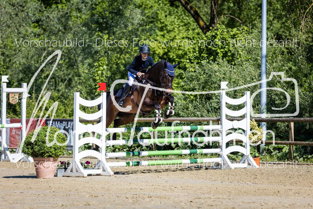 Donop24-A2Spr-050 | MomenTaufnahmen Pferdesportfotos