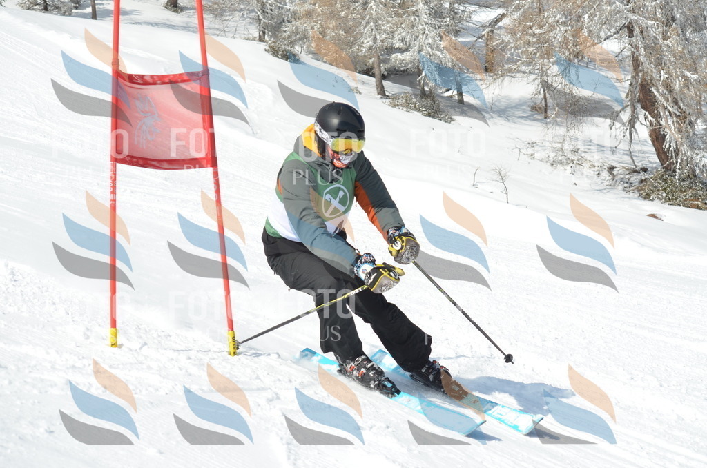 D9093 | holidayphoto