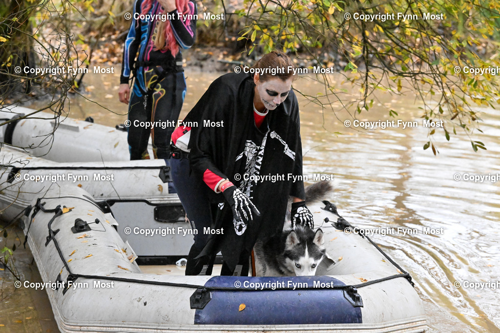DSC_6661 | Hallo und herzlich Willkommen auf meiner Shop-Seite Fynn Most.

Ich wünsche Dir viel Spaß beim stöbern durch die Bilder, wenn Du Fragen hast oder Bilder vermisst, kannst du mir gerne eine Nachricht schreiben. - Realisiert mit Pictrs.com