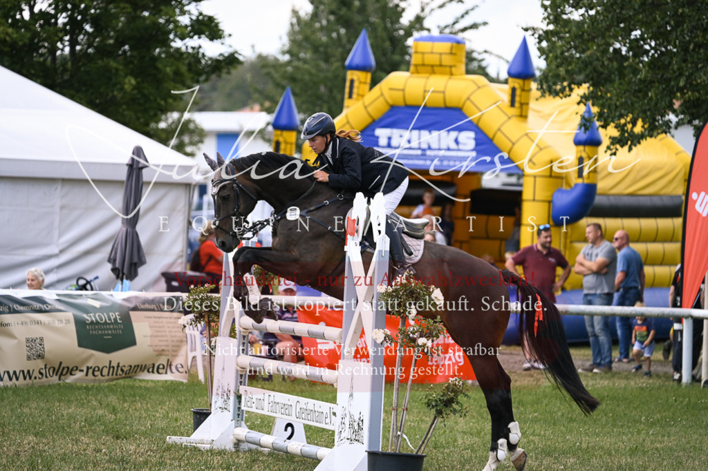 DSC_0867 | Pferde- und Turnierfotografie in Westsachsen. Pferdeportraits, Auftragszeichnungen und intuitive Kunst.