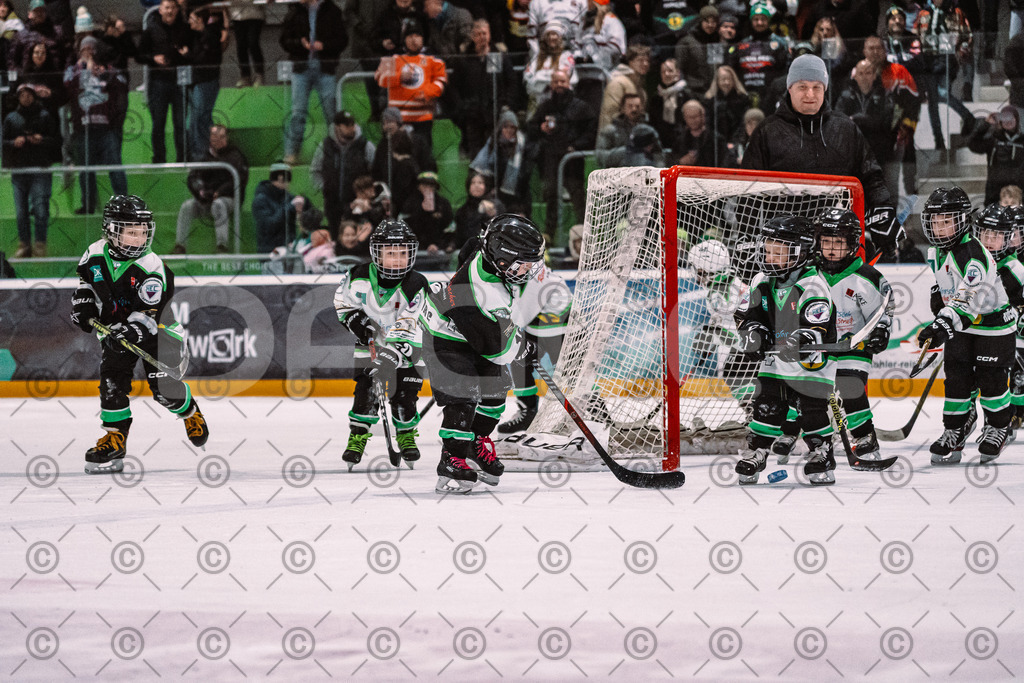 Alligators_vs_Erding_01_02_2026-29 | Höchstadt Alligators Fotogalerie: Eishockey-Action aus Franken. Professionelle Spielfotos, Portraits & Stadionbilder zum Download. Jetzt entdecken! - Realisiert mit Pictrs.com