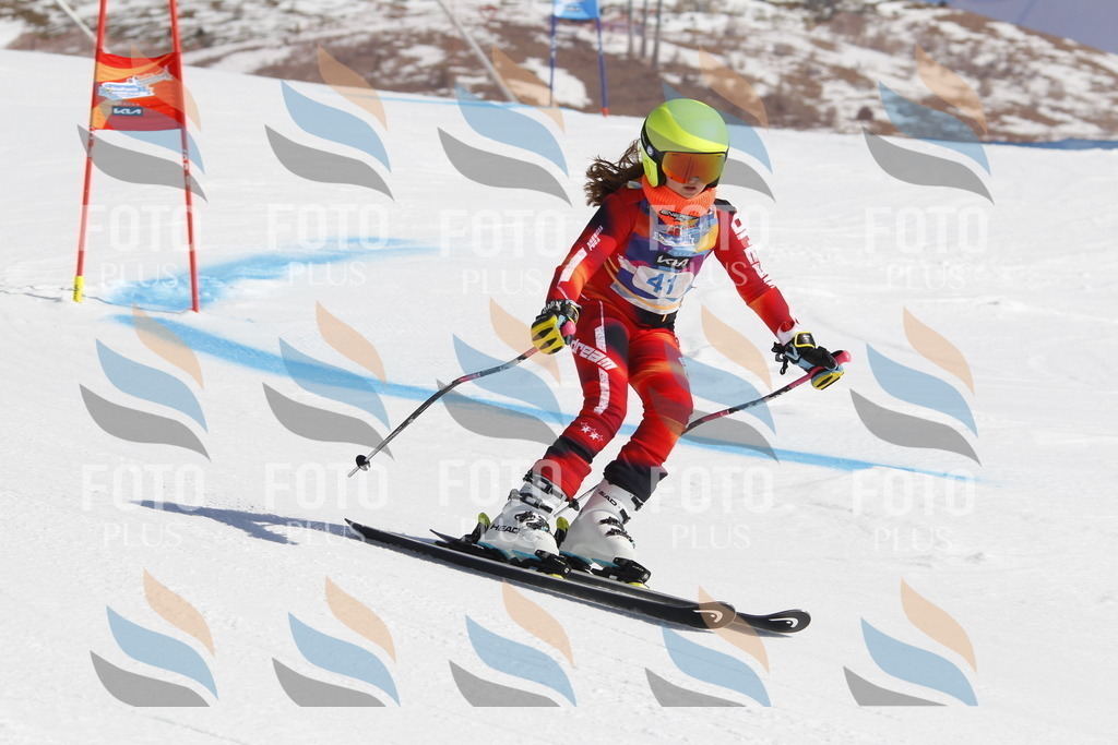 _U3G9255 | holidayphoto