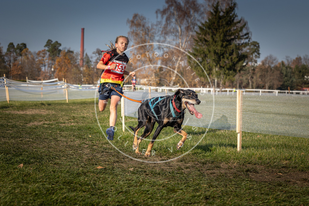 CaniXpix_0L8A9138 | Hundefotografie, Tierfotograf, Pfotenfotografie, Fotoshooting Hund, Hunde Portrait, Hundesport, Hundeportraits, Heideshooting, Hunde, Sportfotograf, Hundefotograf, Turnierhundsport, THS,  - Realisiert mit Pictrs.com