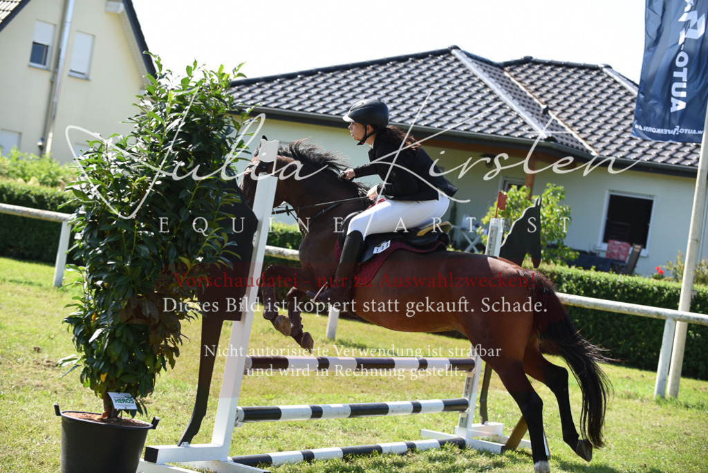DSC_9259 | Pferde- und Turnierfotografie in Westsachsen. Pferdeportraits, Auftragszeichnungen und intuitive Kunst.