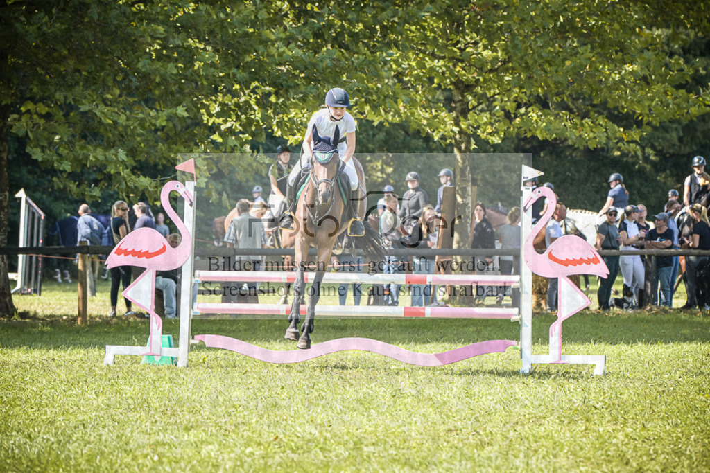 DOS_0198 | Entdecke hochwertige Reitturnierfotos von Foto Oger. Professionell, emotional und authentisch – jetzt Lieblingsmomente im Shop bestellen.Deutschlandweite Turnierfotografie. - Realisiert mit Pictrs.com