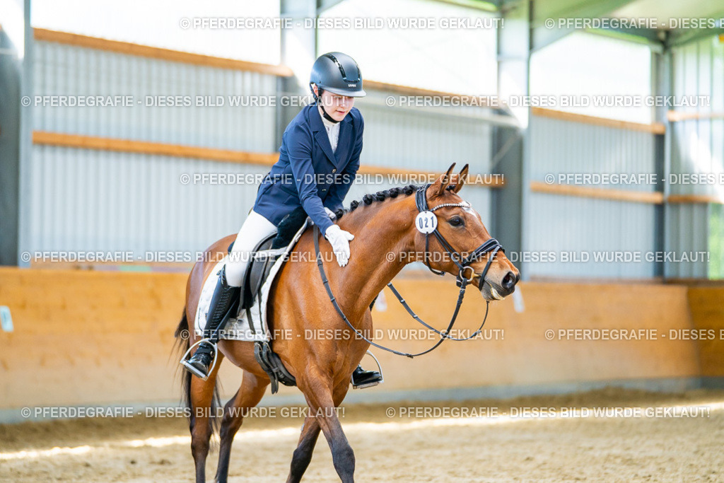 DSC08001 | Pferdegrafie