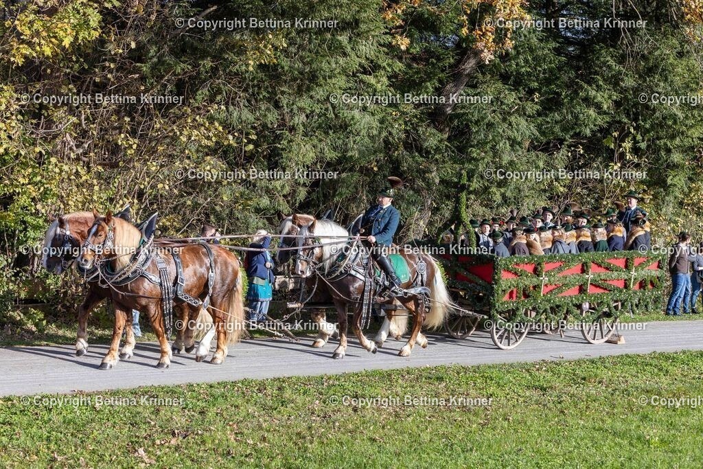 LBT24-153 | foto-bettina-krinner - Realisiert mit Pictrs.com