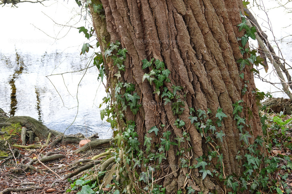 Smiling Lake_38 | On the lakeshore