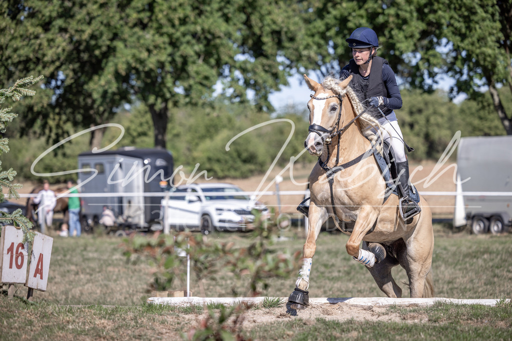 20260906-_3LI2623 | Tierfotografie Pferde, Hunde, Katzen, Haustiere.
Turnierfotografie Reitturniere, Reiten, Springreiten, Dressur in Hanau, dem Main-Kinzig-Kreis und dem Rhein-Main- Gebiet um Frankfurt