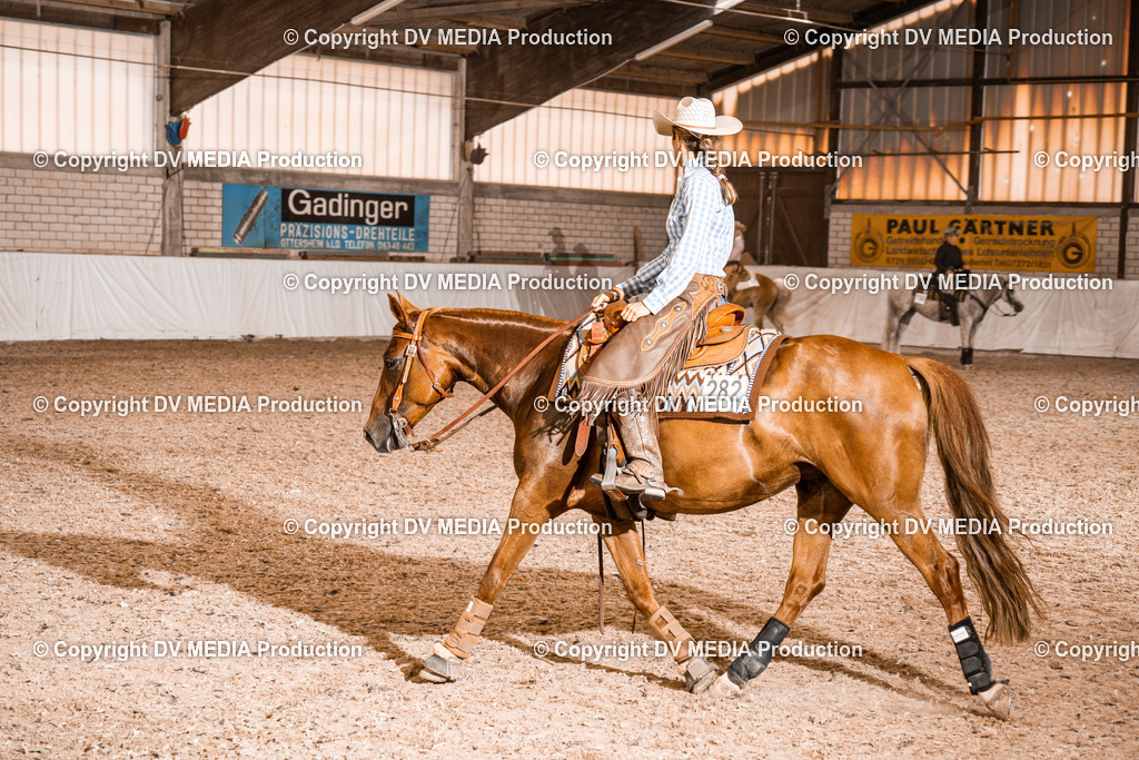 ZH200785 | dv-media-shop - Realisiert mit Pictrs.com