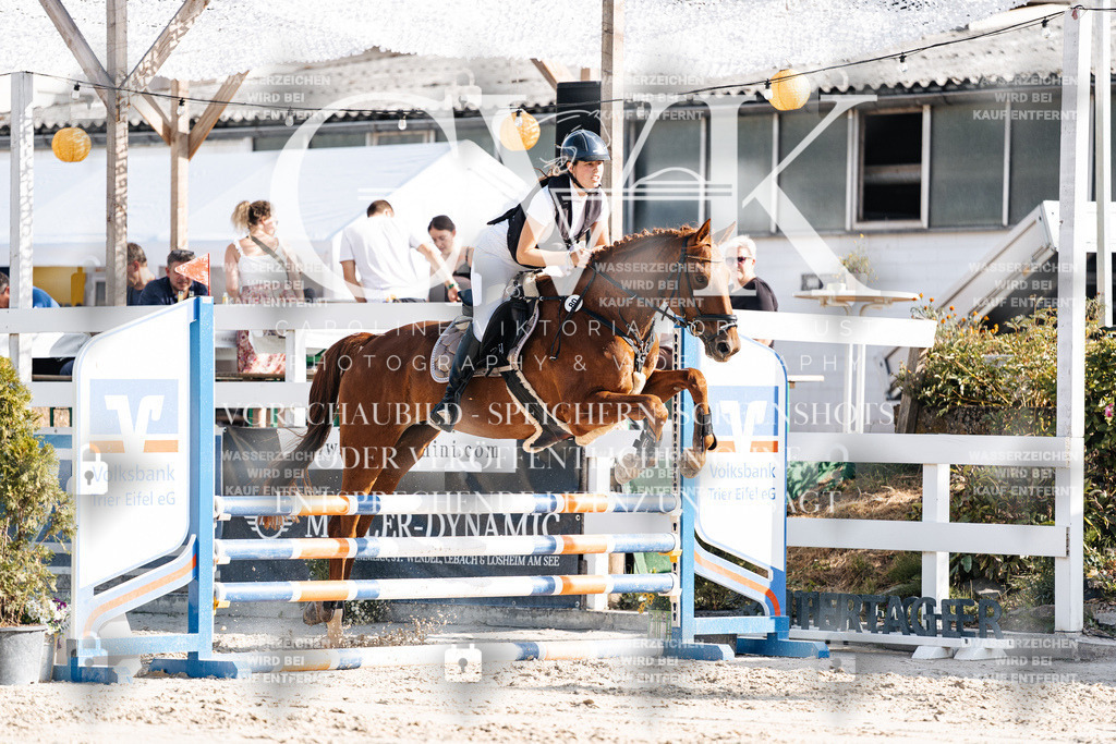 CK909363 | Turnierfotografie Pferdefotografie Trier Rheinland-Pfalz Pferdesport Reitsport Tierfotografie Sportfotografie Pferdevideo Pferdevideografie Equestrianvideography equestrianphotography  - Realisiert mit Pictrs.com