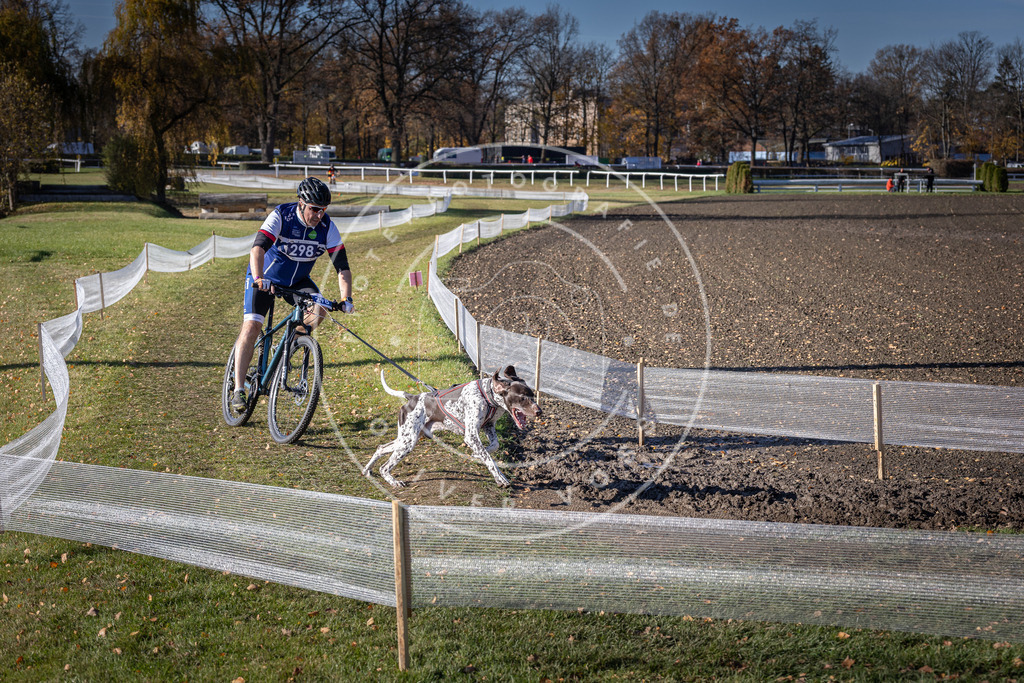 CaniXpix_DV3A6016 | Hundefotografie, Tierfotograf, Pfotenfotografie, Fotoshooting Hund, Hunde Portrait, Hundesport, Hundeportraits, Heideshooting, Hunde, Sportfotograf, Hundefotograf, Turnierhundsport, THS,  - Realisiert mit Pictrs.com