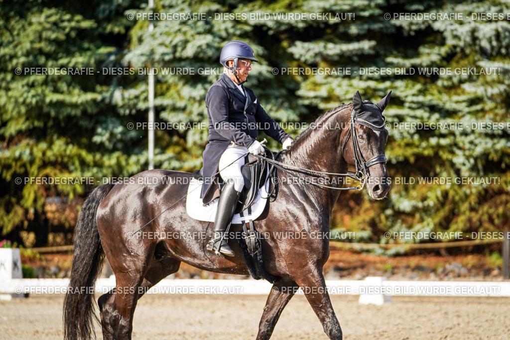 DSC00378 | Pferdegrafie