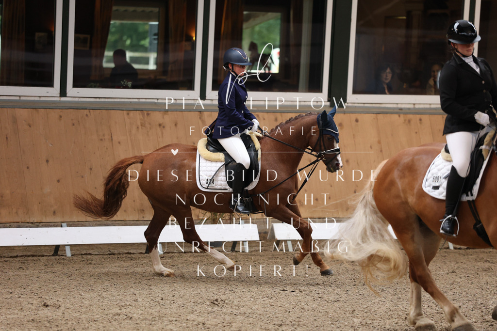 IMGM8626 | pl-fotografie