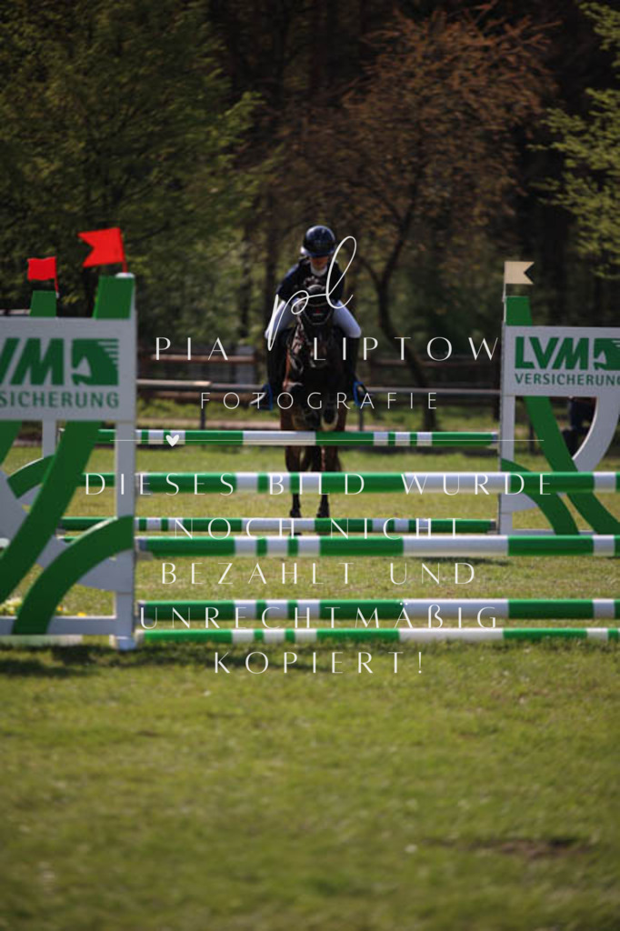 IMGT5691 | pl-fotografie