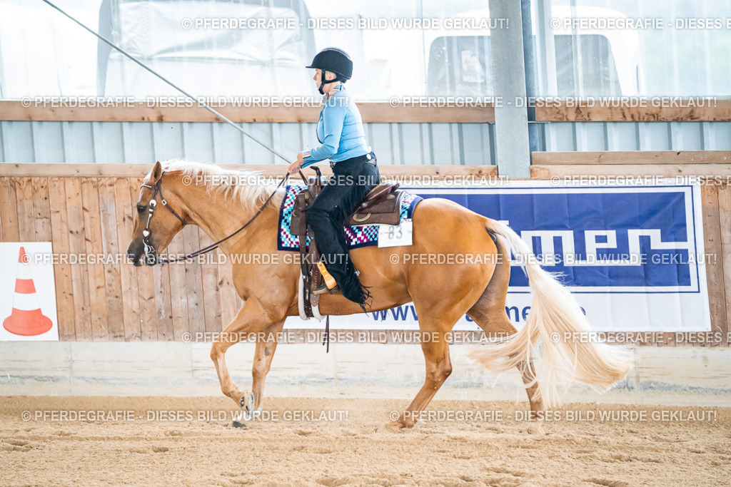 DSC01618 | Pferdegrafie