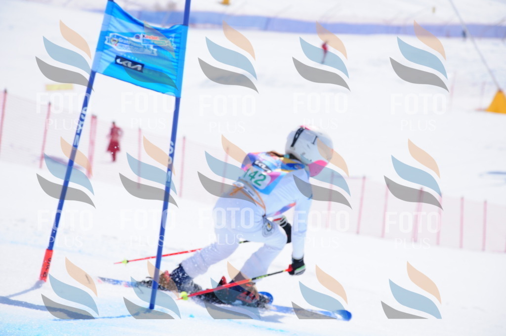 DSC_1217 | holidayphoto