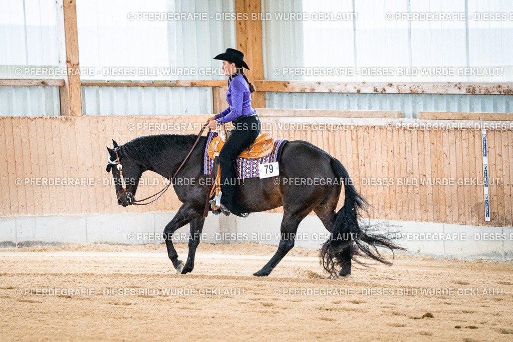 DSC01479 | Pferdegrafie