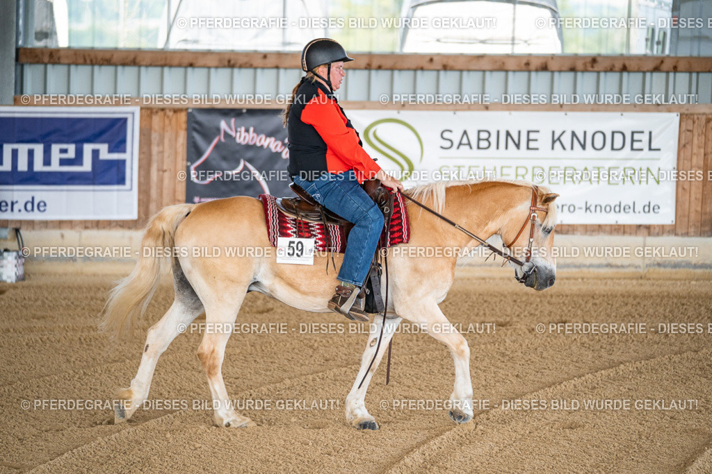 DSC01518 | Pferdegrafie