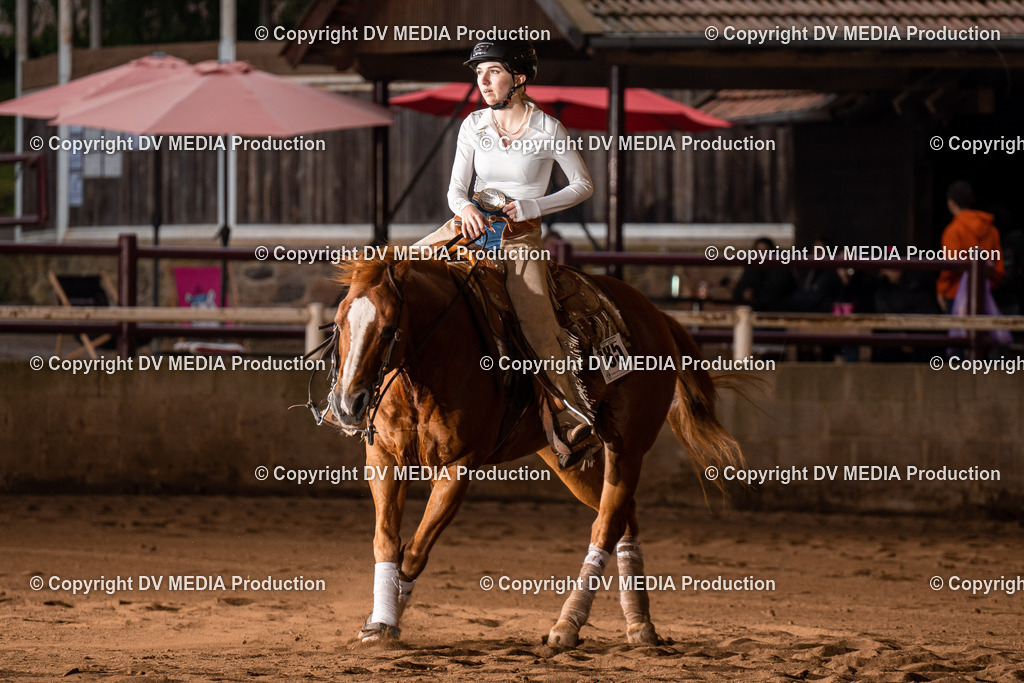 Erbach Tag 3-850 | dv-media-shop - Realisiert mit Pictrs.com