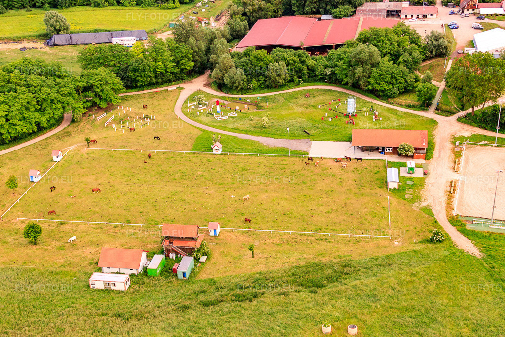 Vue aérienne: Haras De La Née à Neewiller-près-Lauterbourg dans le département Bas Rhin, France – .Photo: IMG_28746.jpg prise le 14/06/2010 par Werner Riehm/FLY-FOTO.eu – Résolution de l'original: 4752 x 3168 px – Haras de la Nee équitation chevaux concours