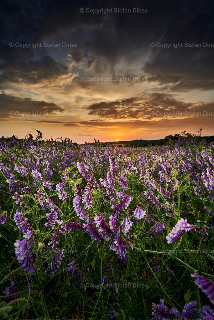_DSC4299 1 | Findlinge im Eis, Zeesenboote bei der Traditionsregatta, eine Seebrücke im Sonnenaufgang - mit den Bildern aus dieser Galerie erhalten Sie wunderschöne Aufnahmen über das ganze Jahr. Ein tolles Produkt zum Verschenken, Werben oder zum Träumen vom nächsten - Realisiert mit Pictrs.com
