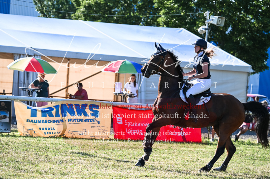 DSC_2918 | Pferde- und Turnierfotografie in Westsachsen. Pferdeportraits, Auftragszeichnungen und intuitive Kunst.