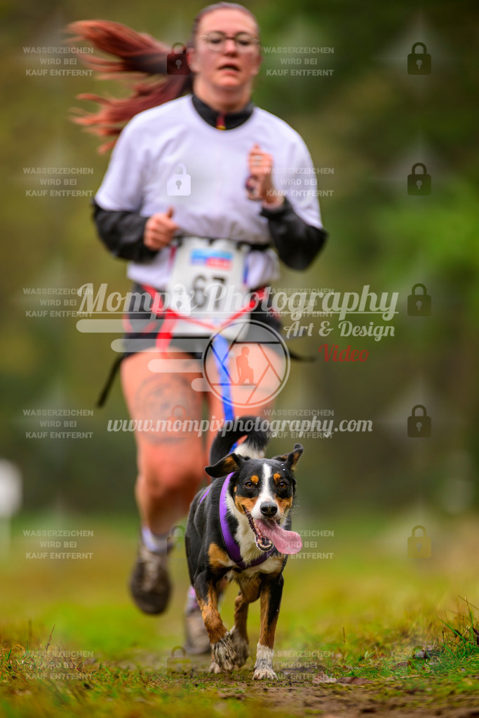 MompixPhotography_Bischwiller2025_Canicross-176 | mompixphotography
