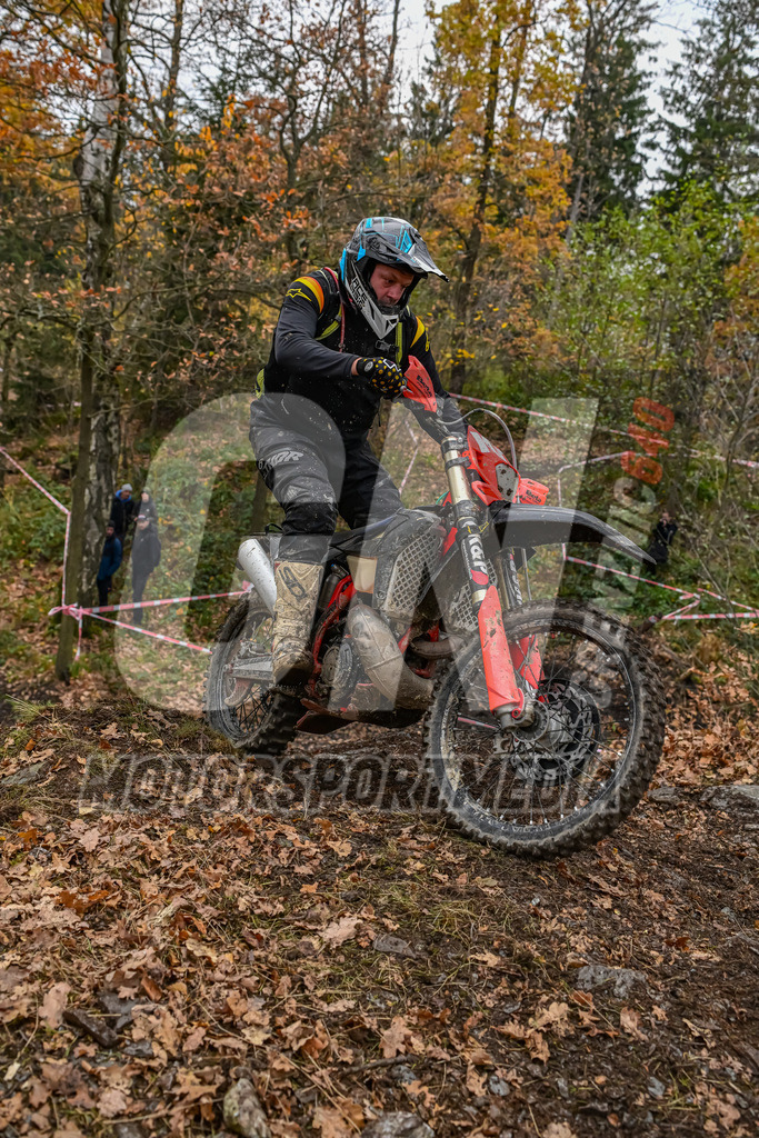 NZ8_7499 | grenznic640