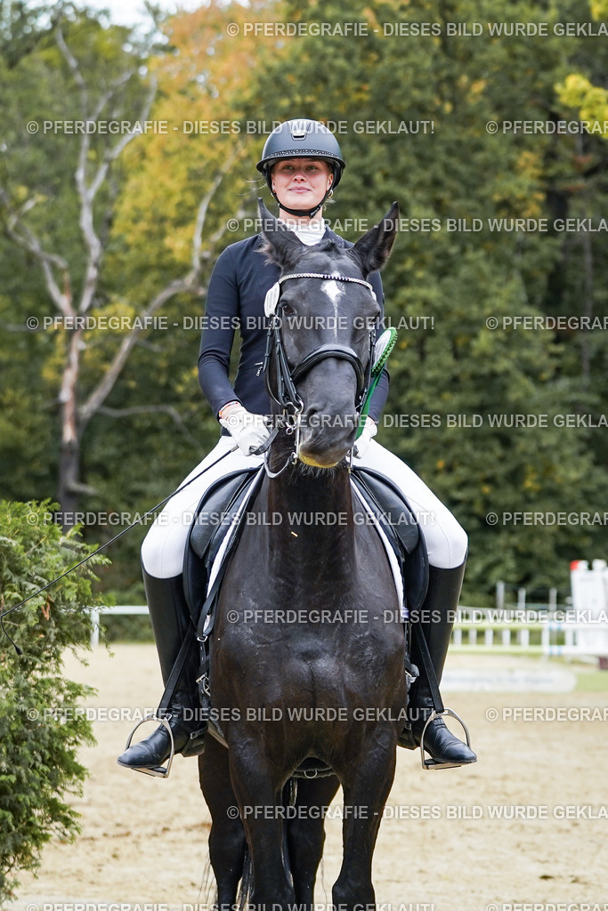 DSC02613 | Pferdegrafie