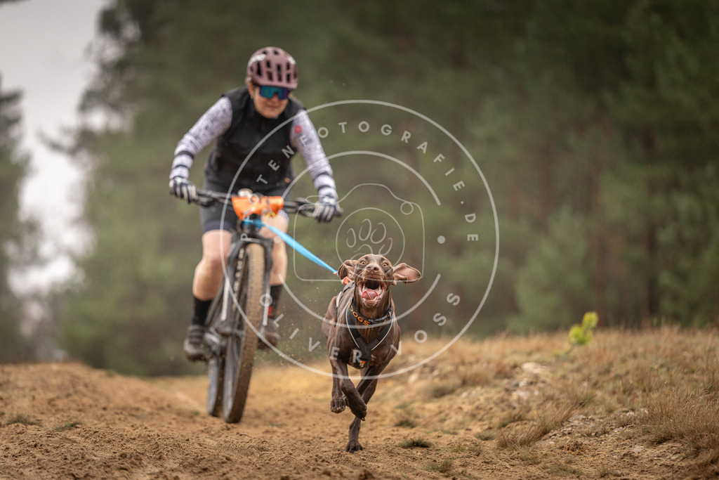 Pfotenfotografie_DV3A3362 | Hundefotografie, Tierfotograf, Pfotenfotografie, Fotoshooting Hund, Hunde Portrait, Hundesport, Hundeportraits, Heideshooting, Hunde, Sportfotograf, Hundefotograf, Turnierhundsport, THS,  - Realisiert mit Pictrs.com