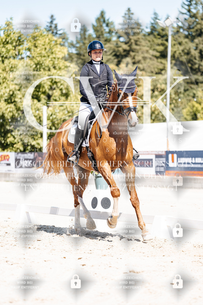 CK900078 | Turnierfotografie Pferdefotografie Trier Rheinland-Pfalz Pferdesport Reitsport Tierfotografie Sportfotografie Pferdevideo Pferdevideografie Equestrianvideography equestrianphotography  - Realisiert mit Pictrs.com